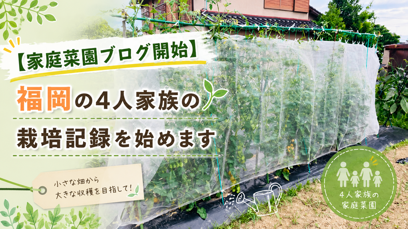 福岡の家庭菜園でミニトマトや夏野菜を育てる4人家族の栽培記録ブログ